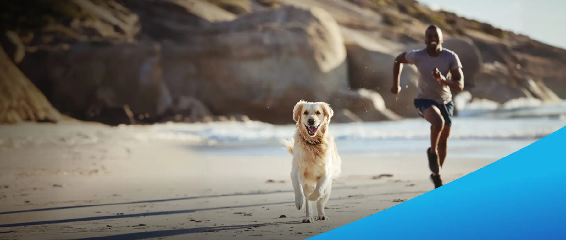 dog and owner running down beach