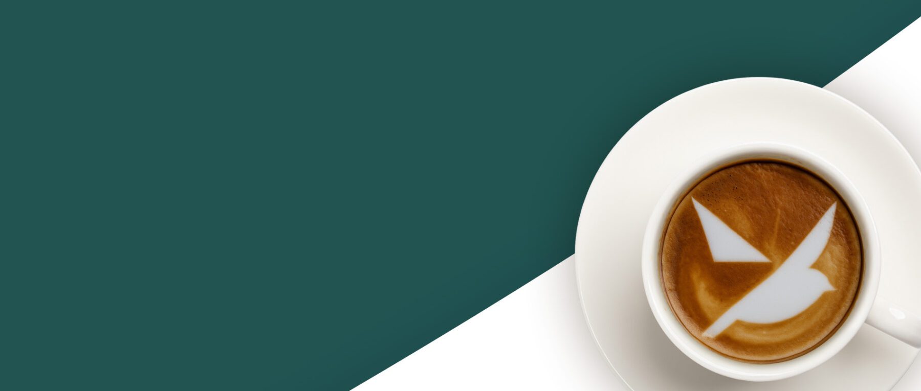 green background with spero latte